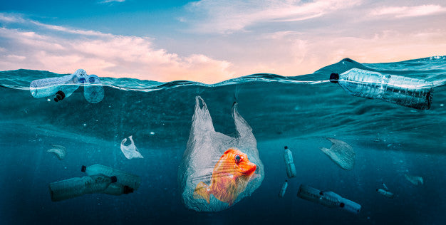 plastics-seas-global-problem_