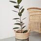 Two Tone Wicker Baskets