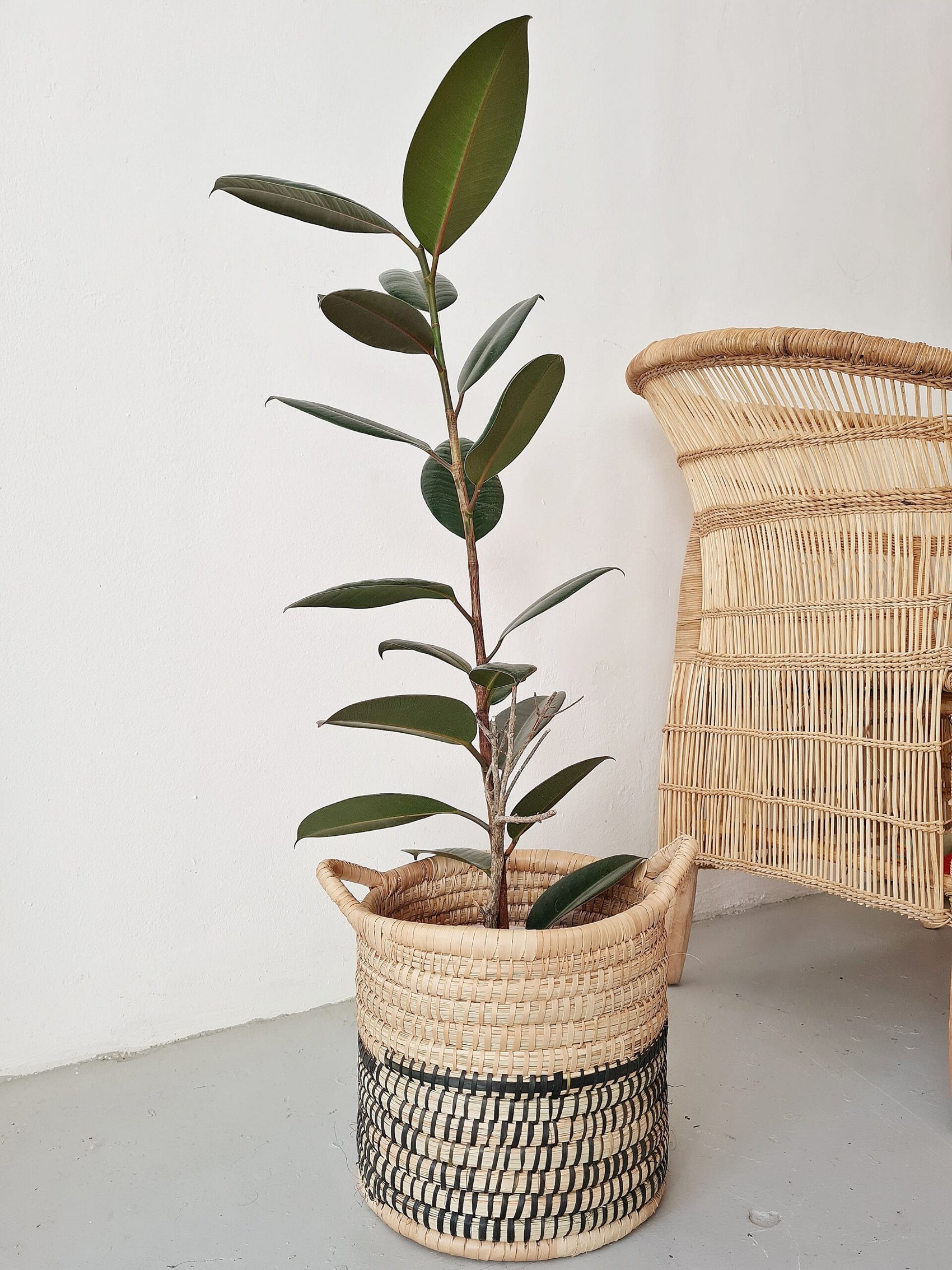 Two Tone Wicker Baskets