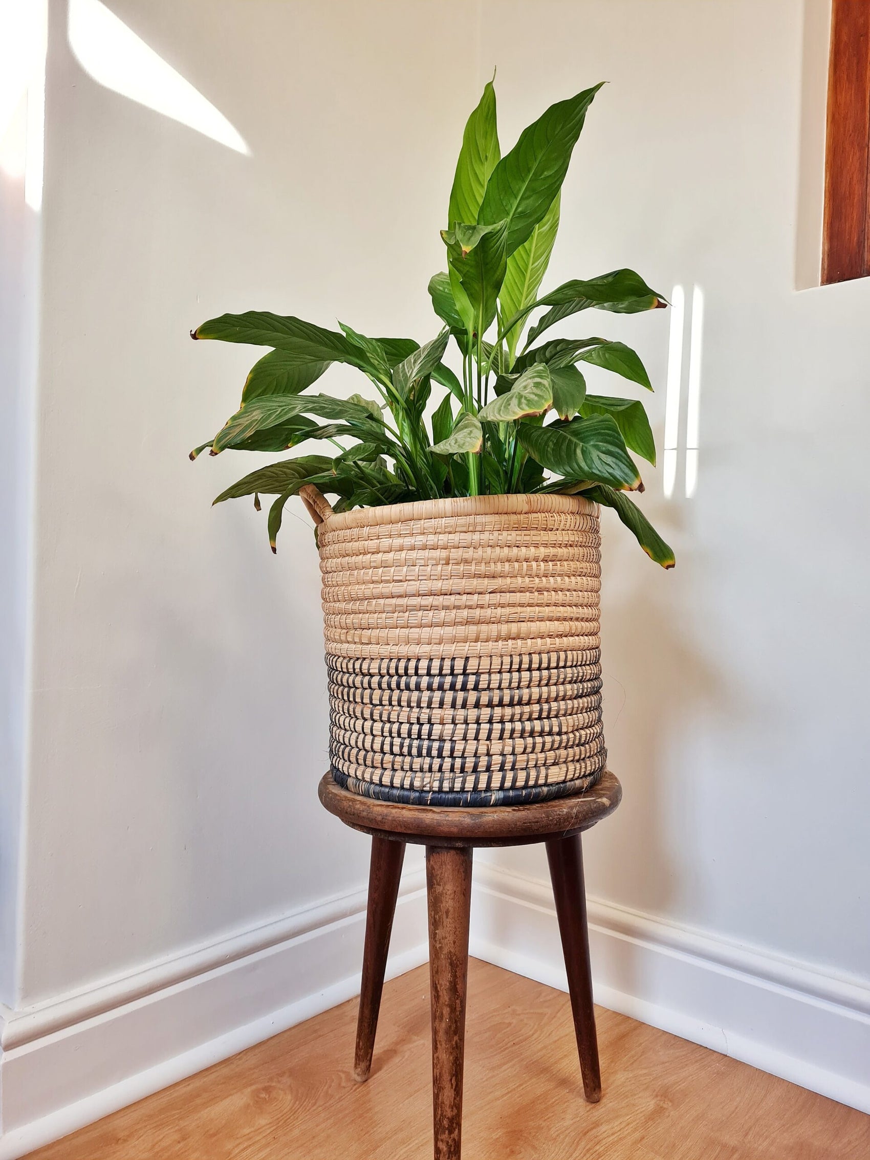 Two Tone Wicker Baskets