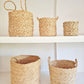 Palm Leaf Malawian baskets
