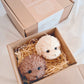 Puppy Mould Soy Wax Candle Gift Box