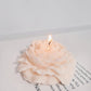 Biodiversity Soy Wax Candle Gift Box