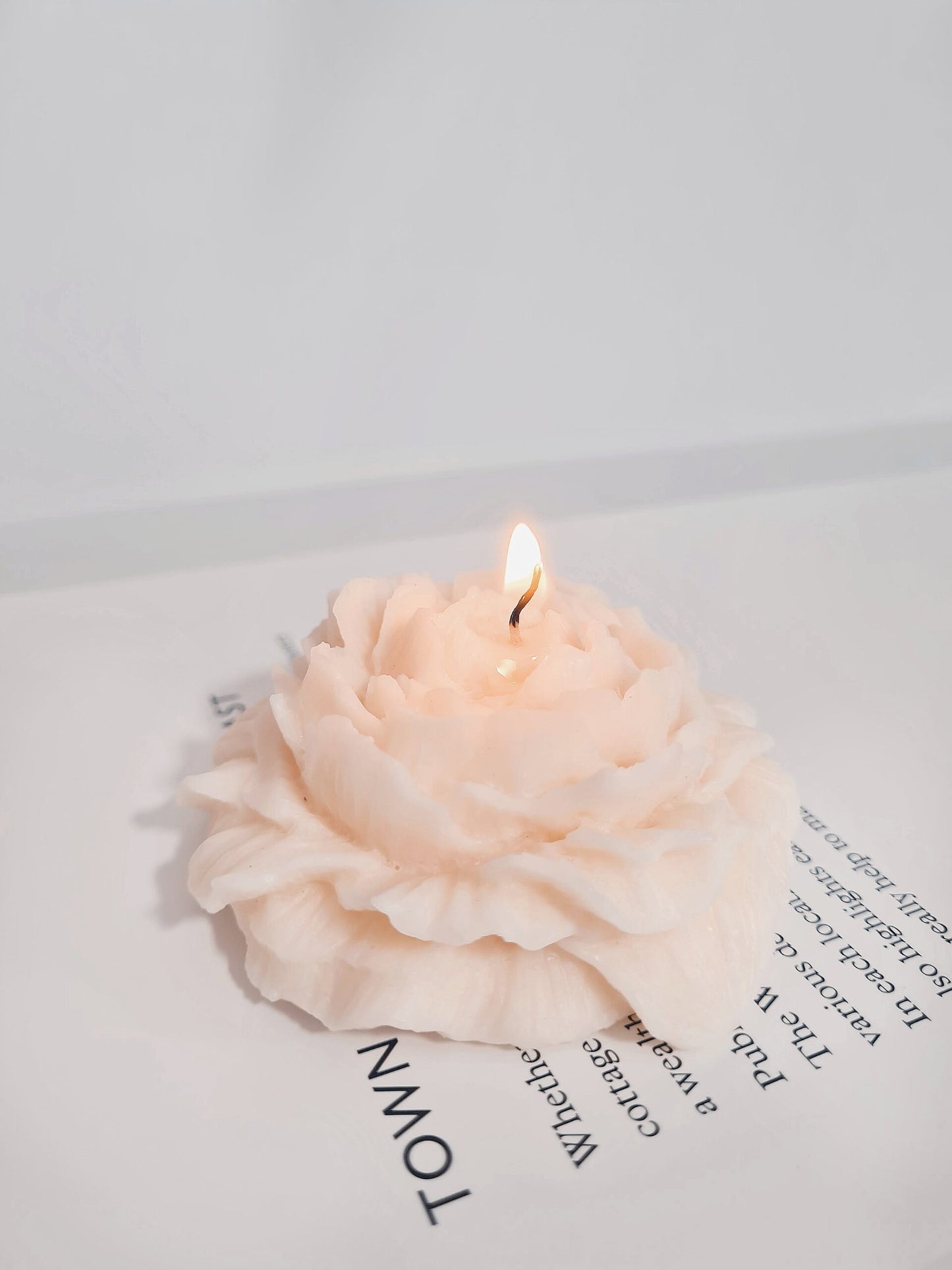 Biodiversity Soy Wax Candle Gift Box
