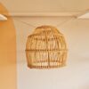 Boho Pendant Light