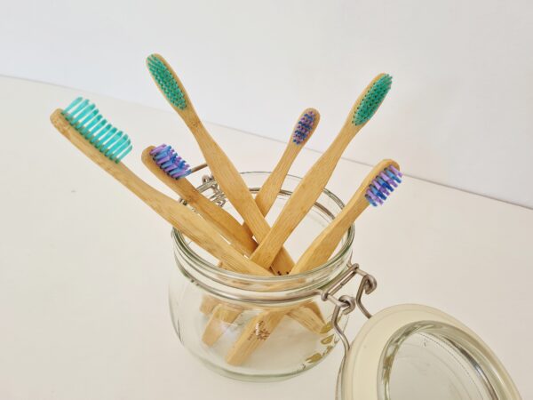 Natural Life Bamboo Toothbrushes